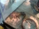IMG_5279.jpeg