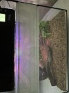 IMG_6929.jpeg