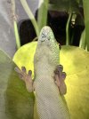 IMG_2055.jpeg