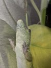 IMG_2056.jpeg