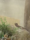 IMG_0568.jpeg