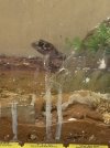 IMG_0386.jpeg