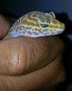 20130704_020432a.jpg
