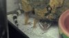 2011-10-17_01-17-22_21.jpg
