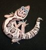 DSC03114.JPG