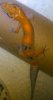 IMG_20130728_182128-1.jpg