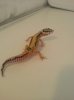 20130803_150957_resized.jpg