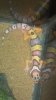 2013-04-18_00-00-30_354.jpg