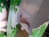 20130808_122306.jpg