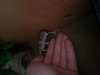 IMG-20130808-WA0017.jpg