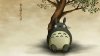 totoro.jpg