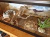 new tank 2.JPG new tank 2.JPG