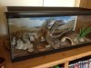 new tank 3.JPG new tank 3.JPG