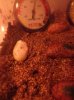 DSC01611.jpg