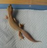 DSCN9399.jpg