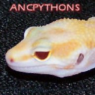 ancpythons