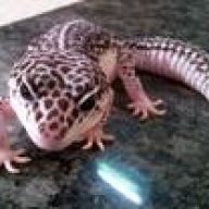 itsslug