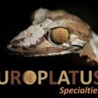 uroplatus specialties