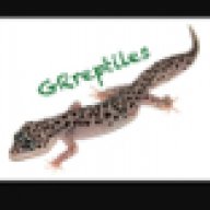 GRreptiles