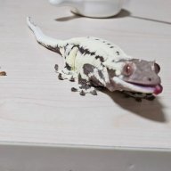 随遇而安