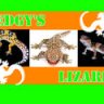 LedgysLizards