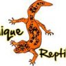 Unique Reptiles