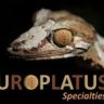 uroplatus specialties