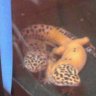 bbhh123