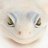 EXTREME_HERPS