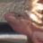 i<3leopardgeckos