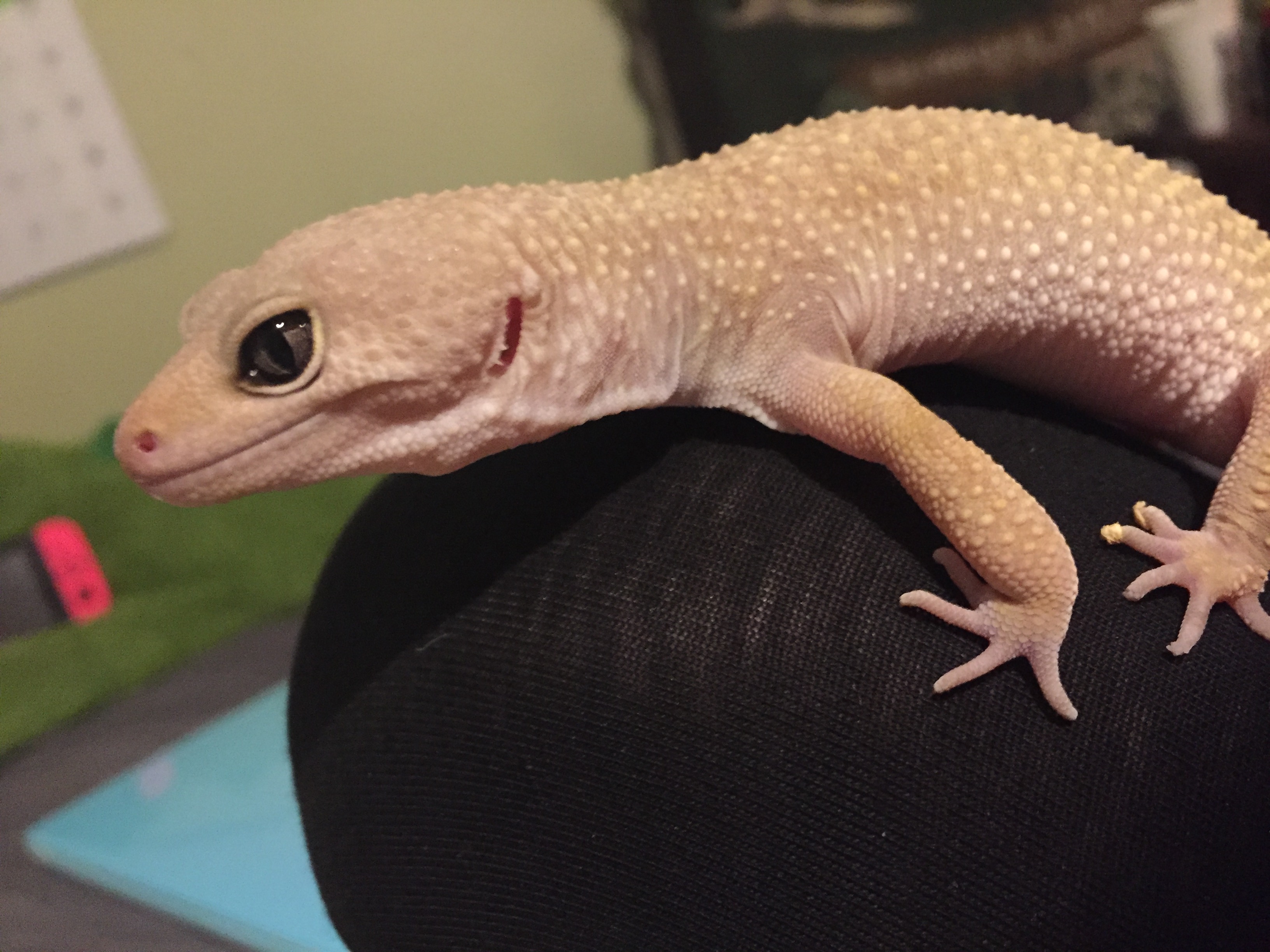 Peach