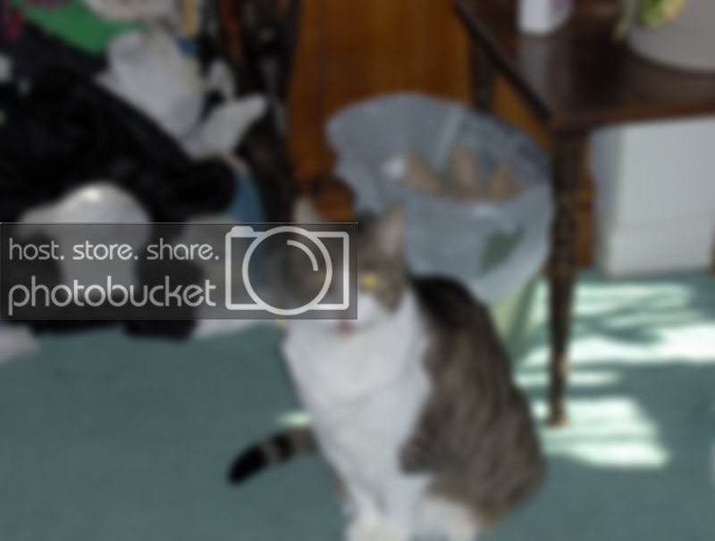 stuff005.jpg