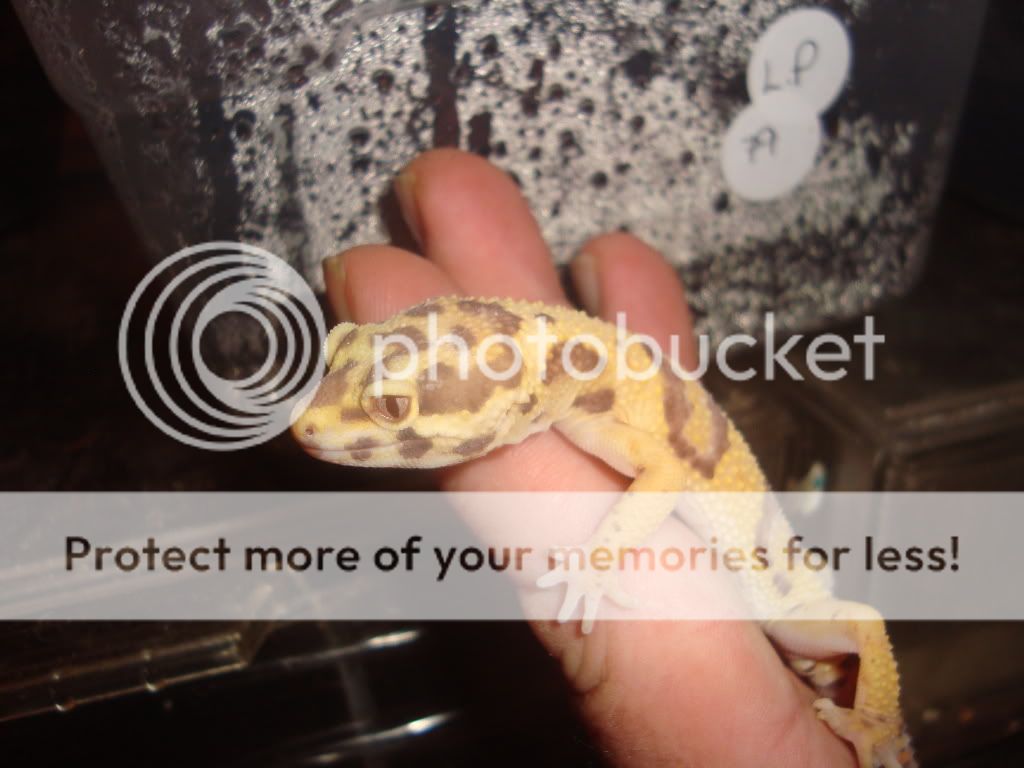 20111005_10.jpg