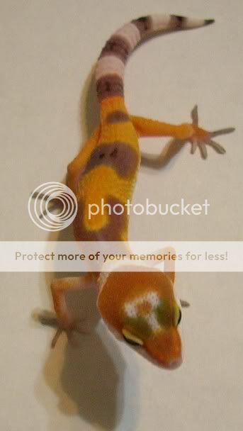Picture351_renamed_1970.jpg