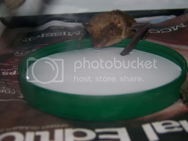 100_8002.jpg