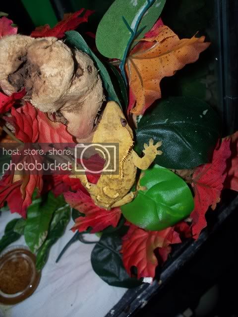 100_3585.jpg