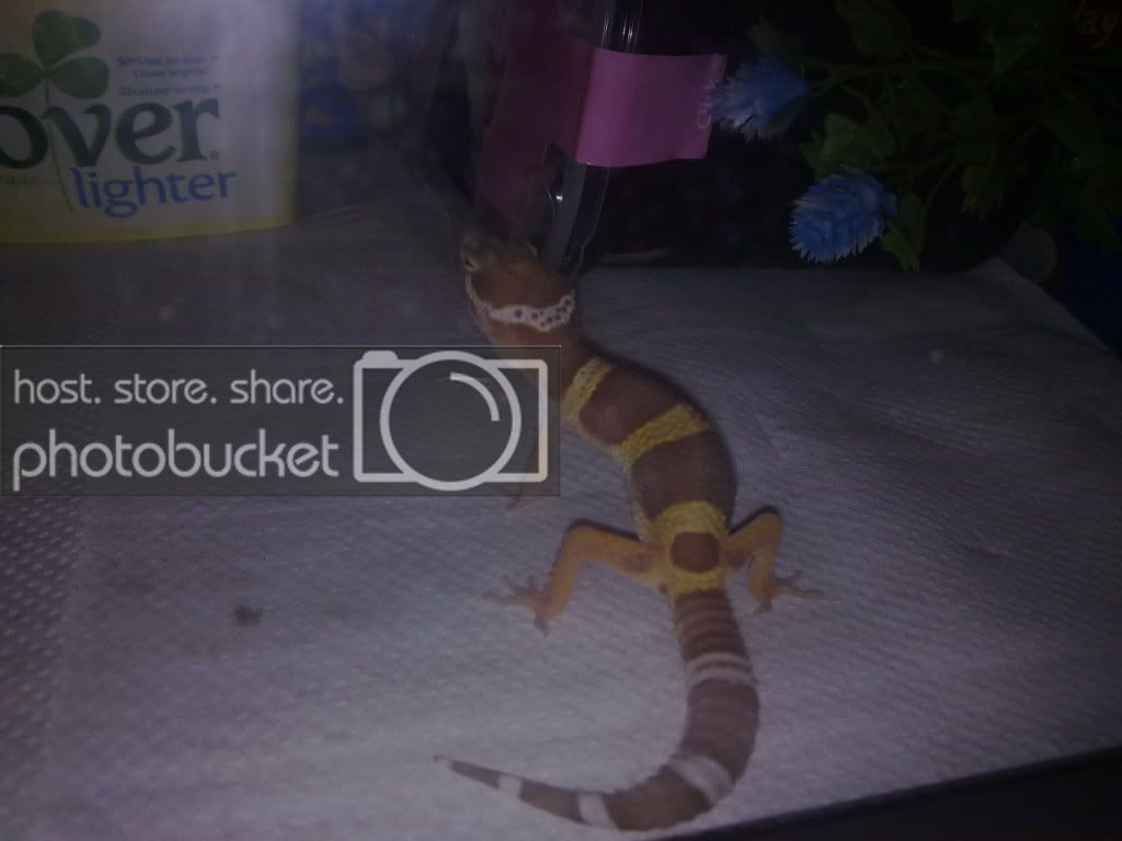 01092010033.jpg