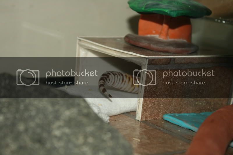 IMG_1049.jpg