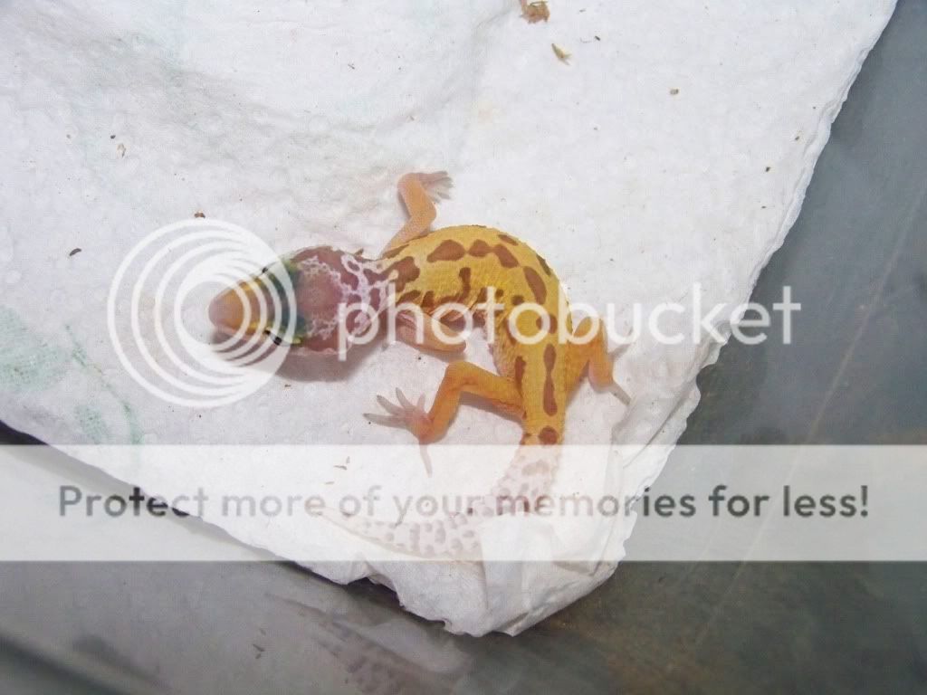 100_7409.jpg