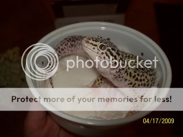 100_1669.jpg