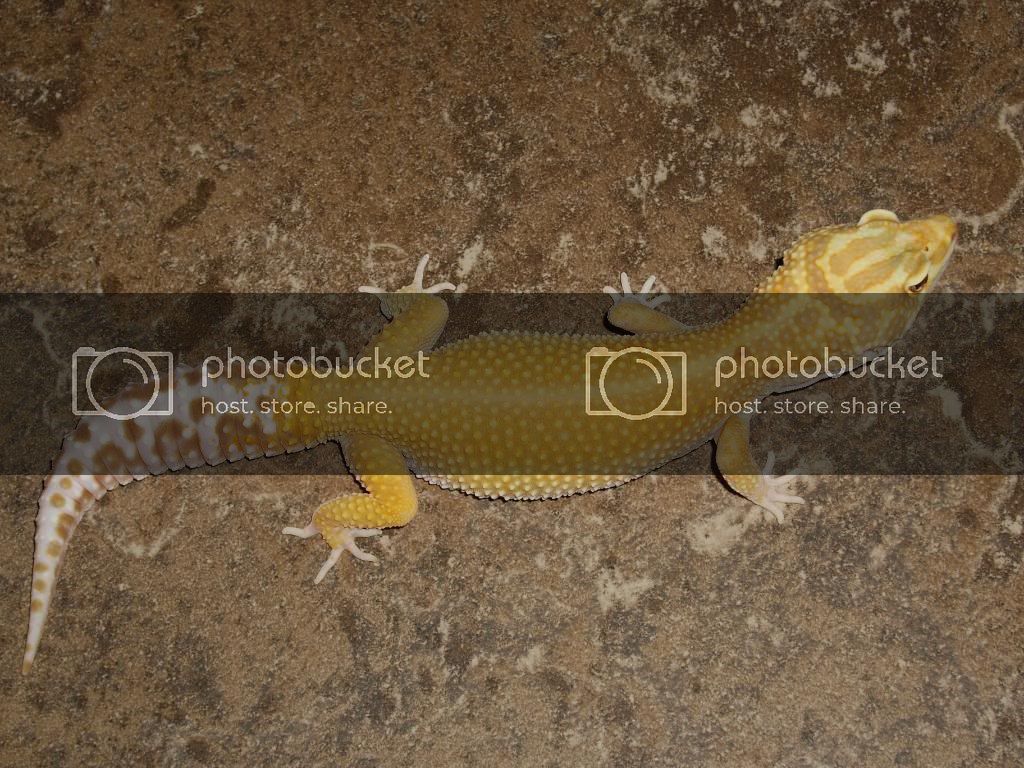 IMGP5891.jpg