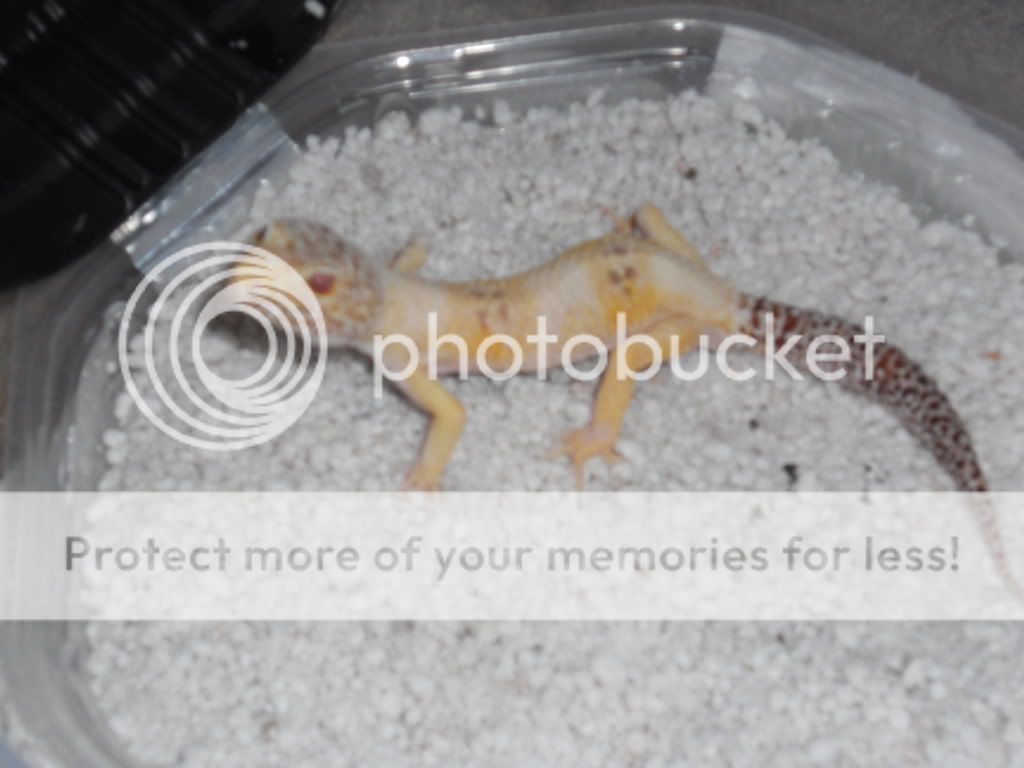 DSCN1233.jpg