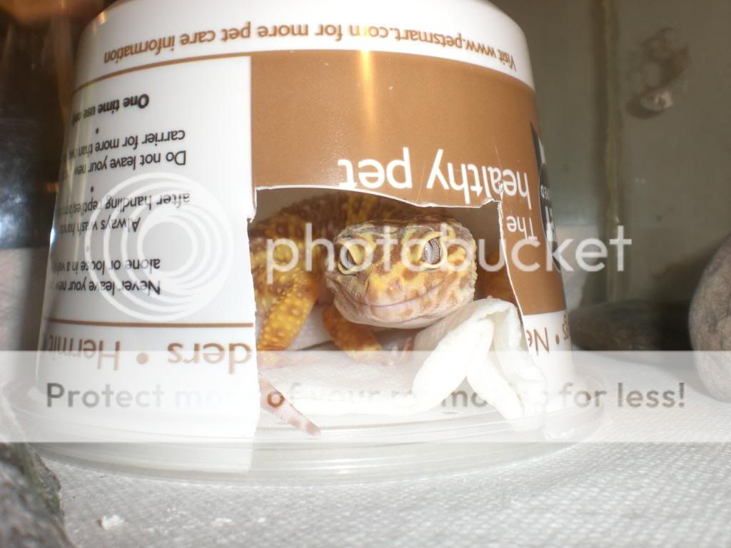 junepix032.jpg
