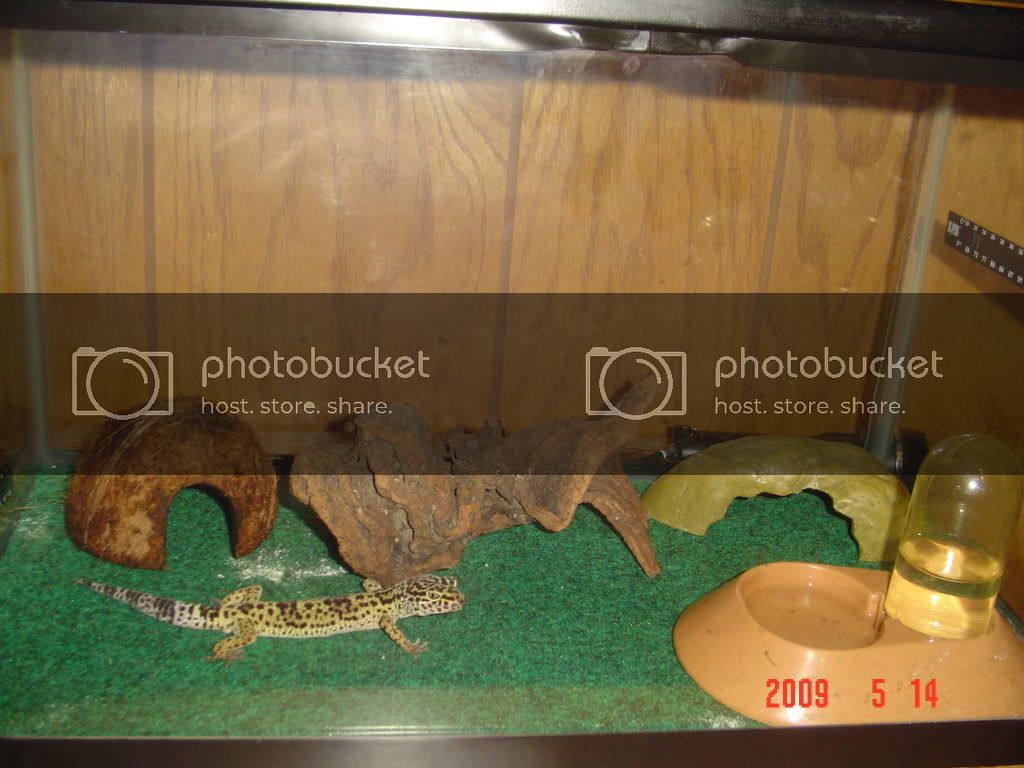 DSC01815.jpg