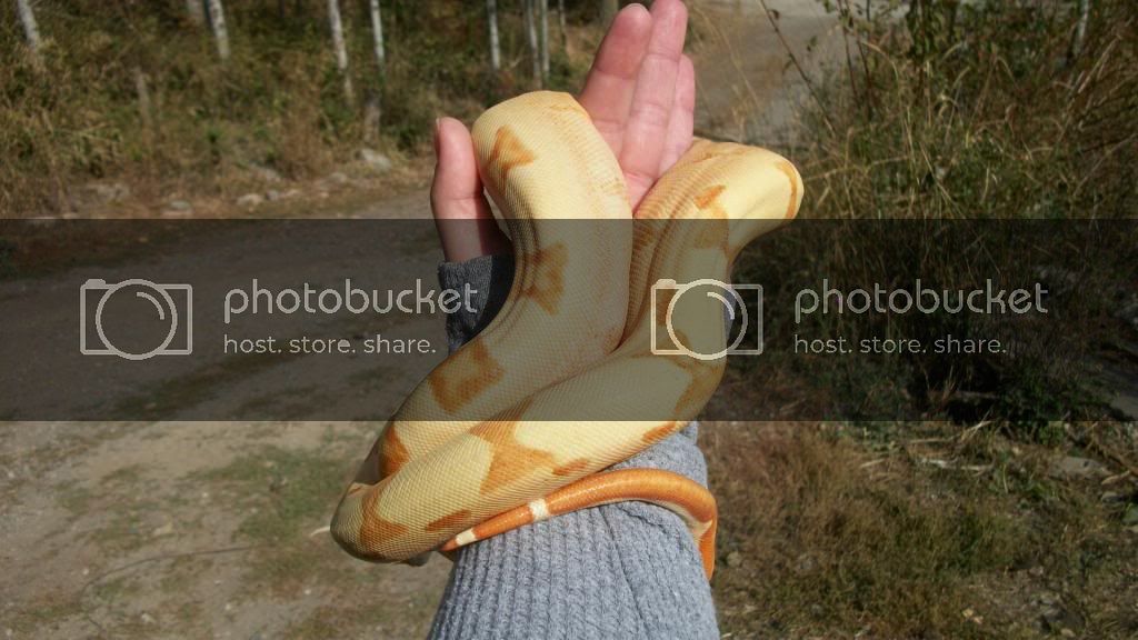100_4724.jpg
