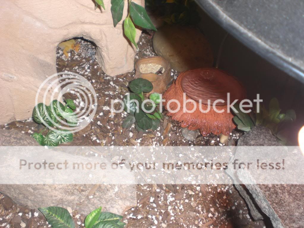 junepix028.jpg