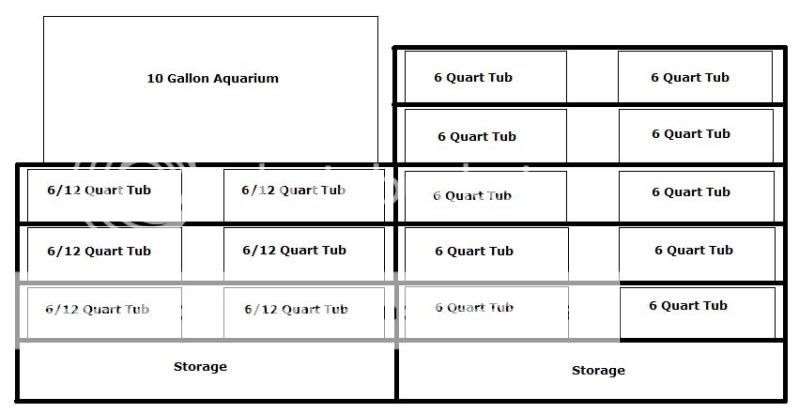 RackLayout.jpg