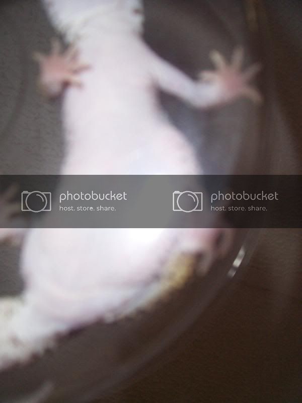 100_1742.jpg