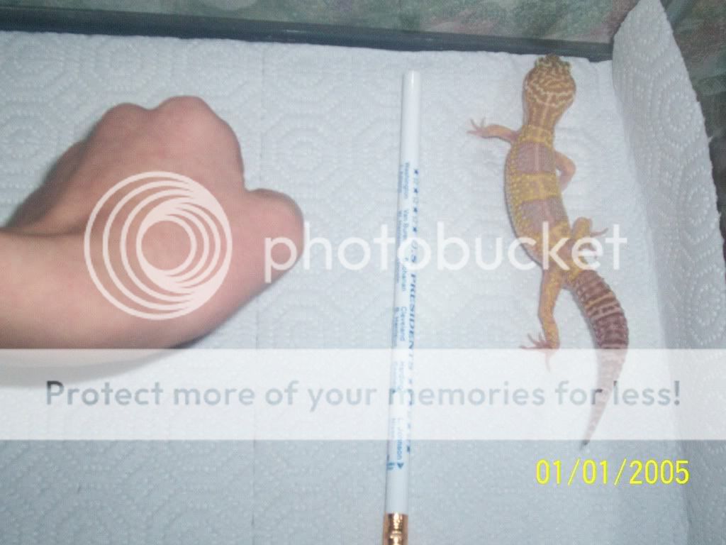 102_1764.jpg