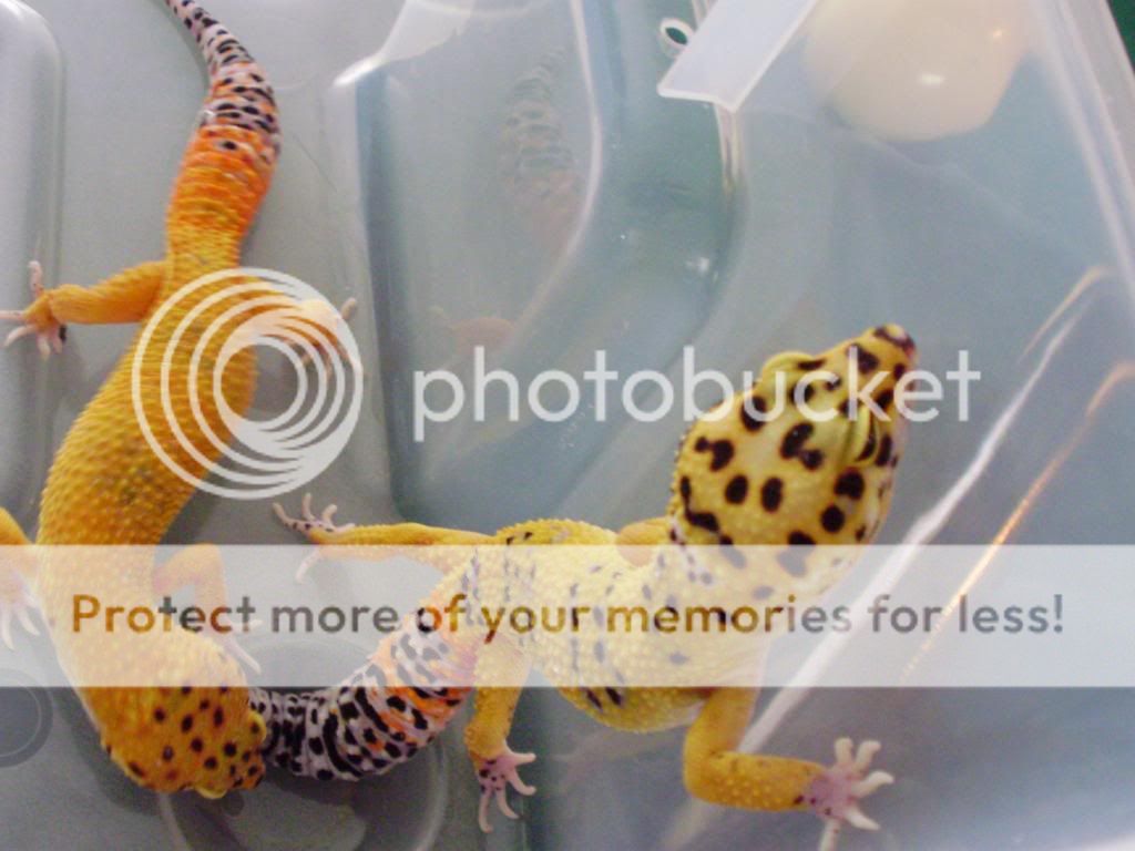 july09089.jpg